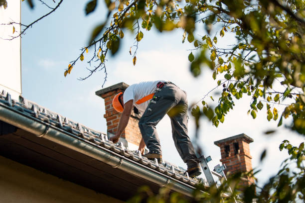 Best Storm Damage Roof Repair  in Macom, IL